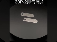 Aangepaste de dienstmechanische gedeelten die de plaat van de delenklep stempelen