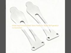 Inlaat- en uitlaatrietklepplaten voor Bitzer-koelcompressoren