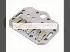 Bitzer S4BCF Klepplaat Assy (58.0)-LP(6.5), 304069-08, 818601B voor AC Air Compressor