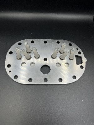 Het zilver paste de Originele Plaat van de Compressorklep aan