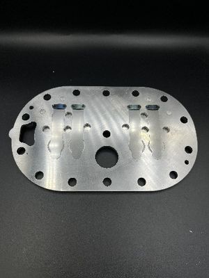 Het zilver paste de Originele Plaat van de Compressorklep aan