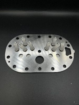 Aangepaste klepplaten voor industriële de Klepplaat van de toepassingencompressor