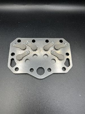 De Klepschijven van de Bizelreeks en de Platen Aangepaste Plaat van de Compressorklep