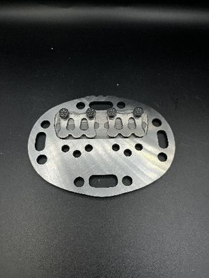 Gepersonaliseerde industriële gladde compressor klepplaat ANSI standaard