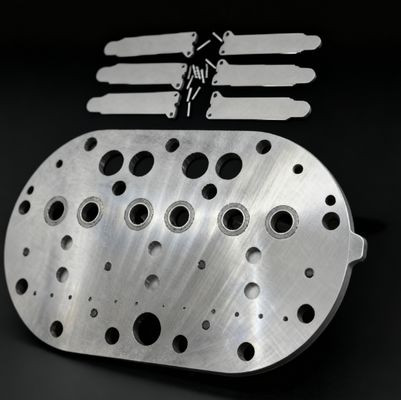 15P Copeland Koelcompressor Valve Plate Assembly & Valve Reeds voor koelopslag vriezer