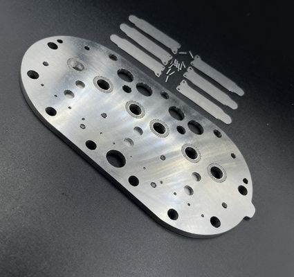 15P Copeland Koelcompressor Valve Plate Assembly & Valve Reeds voor koelopslag vriezer